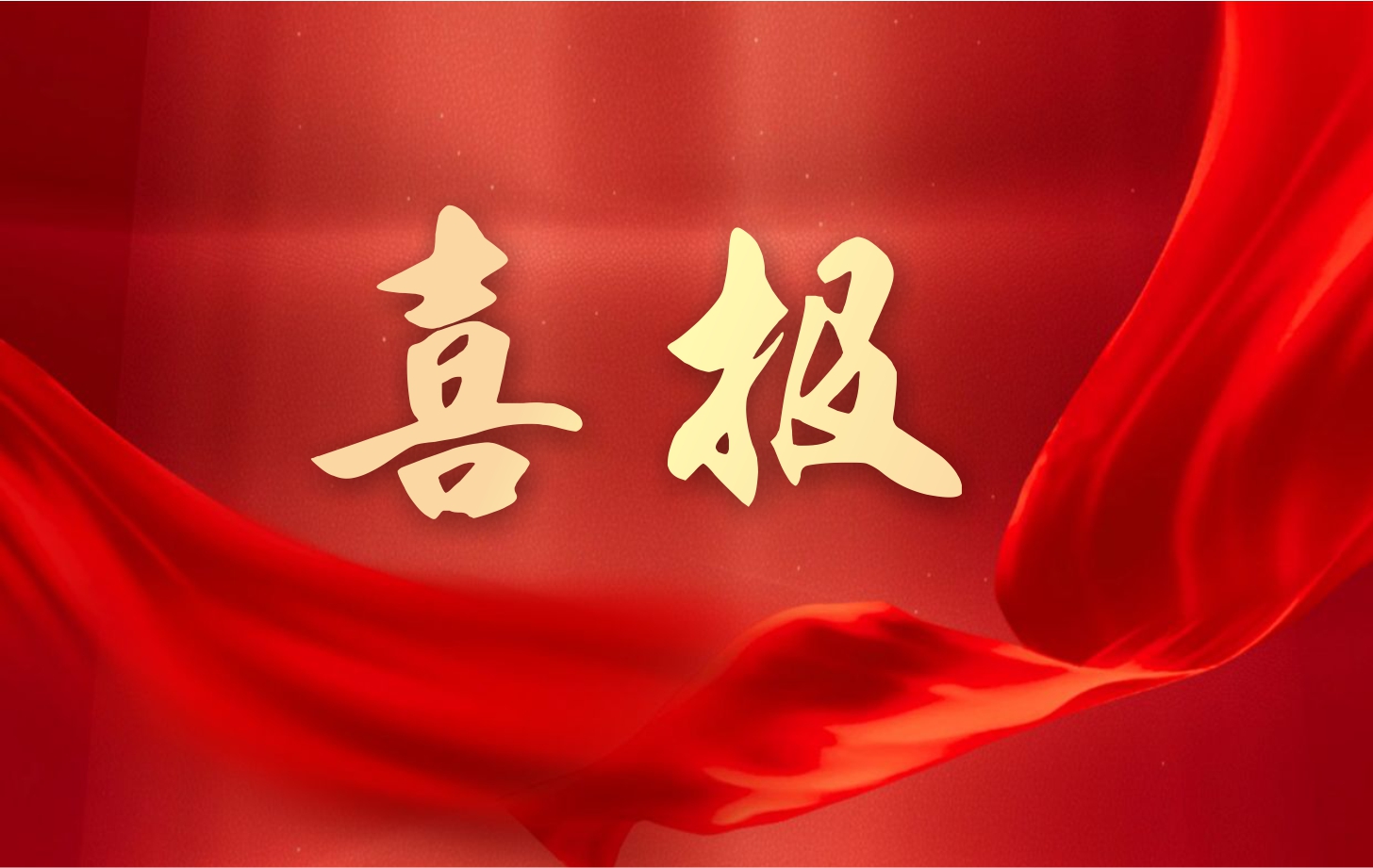 营收净利双增长！新濠娱乐官网电子2025年一季度经营业绩续写高质量发展华章